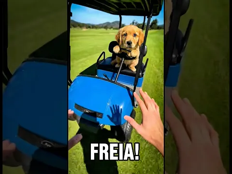 Quem colocou ela lá dentro?