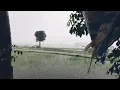 Download Lagu Suara hujan deras pengantar tidur di desa yang sunyi membuat ketenangan dan kedamaian