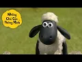 Lagu Những Chú Cừu Thông Minh 🐑 🐑🎉 Ngày Vui Nhộn Ở Nông Trại Cùng Shaun Tập đầy đủ