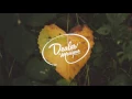 Vanilla - Swept Away