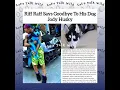 Rapper Riff Raff s Dog Jody Husky Has Passed Away