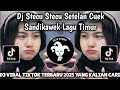 Download Lagu DJ STECU STECU SETELAN CUEK SANDIKAWEK | DJ STECU STECU LAGU TIMUR VIRAL TIKTOK TERBARU 2025