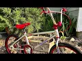 Race Inc BMX RA-20