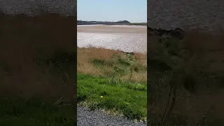 Fundy Discovery Site Truro River Explore Tidalbore Outside Sunnyday Short Shorts Shortvideo 