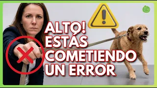 Si tu PERRO LADRA a otros PERROS DEJA de HACER ESTO