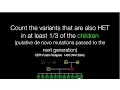 Genotype Query Tools Pedigree Analysis Example