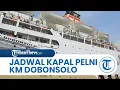 Jadwal Kapal Pelni KM Dobonsolo hingga 11 September 2025, Besok di Sorong, Rute Akhir Serui-Jayapura