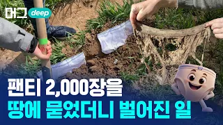 팬티 2천 장을 묻었다... 5년 뒤 밝혀진 뜻밖의 결과 / 머그 딥 인사이트 / 비디오머그