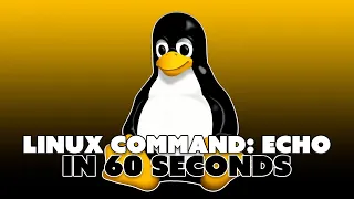 Linux Command Echo Alta3 Tech Minute