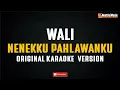 Download Lagu Wali - Nenekku Pahlawanku (Original Karaoke Version)