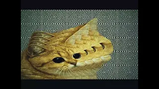 ybf - gimme dat