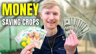 You'd Be a Fool Not To Grow THESE Money Saving Crops In 2025!