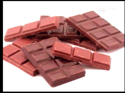 Alimentos que no se deben dar a la mascota