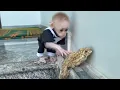 Lagu The baby monkey's reaction upon discovering the toad!