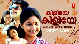 kiliye kiliye video song aa rathri mammootty poornima rohini ilayaraja s janaki