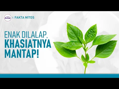 Cara Mengolah Daun Kemangi untuk Kesehatan