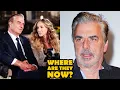 Chris Noth Mr Big Fired From Sex The City Where Are They Now