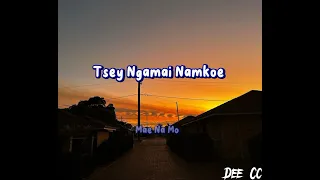 aie damtsi sem gi lyrics with vocal off