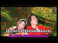Download Lagu Tak Dapat Tidur (NADA SORAYA \u0026 NADI BARAKA) Karya Rhoma Irama