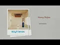 Harry Styles - Boyfriends  (Instrumental)