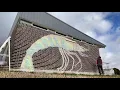 National Science Week Chalk Art Timelapse - Giant Prawn