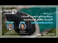 Channel