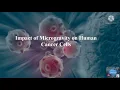 Impact of Microgravity on Human Cancer Cells