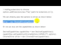 How to use specific chrome binary in Selenium