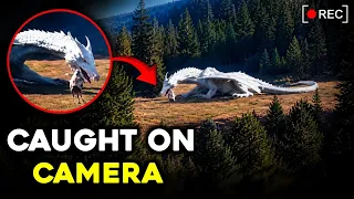 Top 5 Mythical Creatures Caught on Camera! 😱