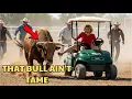 Download Lagu HOA Patrol Trespassed Our Field — Grandpa Unleashed the Bulls Without Warning