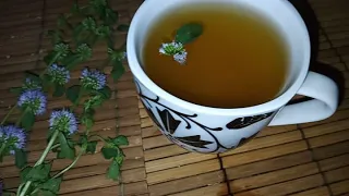 تعرف على فوائد فليو الصحية   دندنها