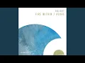 Lagu Fire Within (Extended Mix)