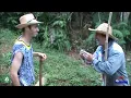 Download Lagu O Cobrador de Contas (Capítulo Final)