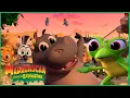 Lagu Glória Aprende Uma Lição Muito Importante! 🦛😯 | DreamWorks Madagascar em Português