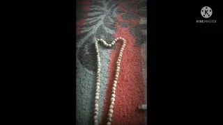 اسم لصاحبه كل جلال         دندنها