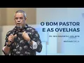 O bom pastor e as ovelhas | Pastor Neil Barreto