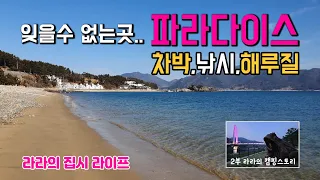 남해도 두곡해변 월포해변 원투 낚시와 해루질 까지 가능한 캠핑카 차박 여행지, 파라다이스 해변의 추억, 썸네일