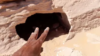 لكل مشكك في علم الإشاره شاهد هذا الفيديو دندنها