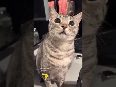 She’s so cute! 🥹