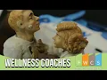 Wellness Coaches