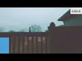 Smoke Trees, Lito Akari - Cabriolet