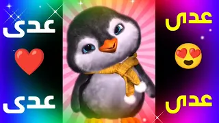  عدى عدى قلبي يا ناس  اغنية باسم عدى  اغنيه بأسم عدي اسم عدى  السعودية الجزائر المغرب  القطة  توم دندنها