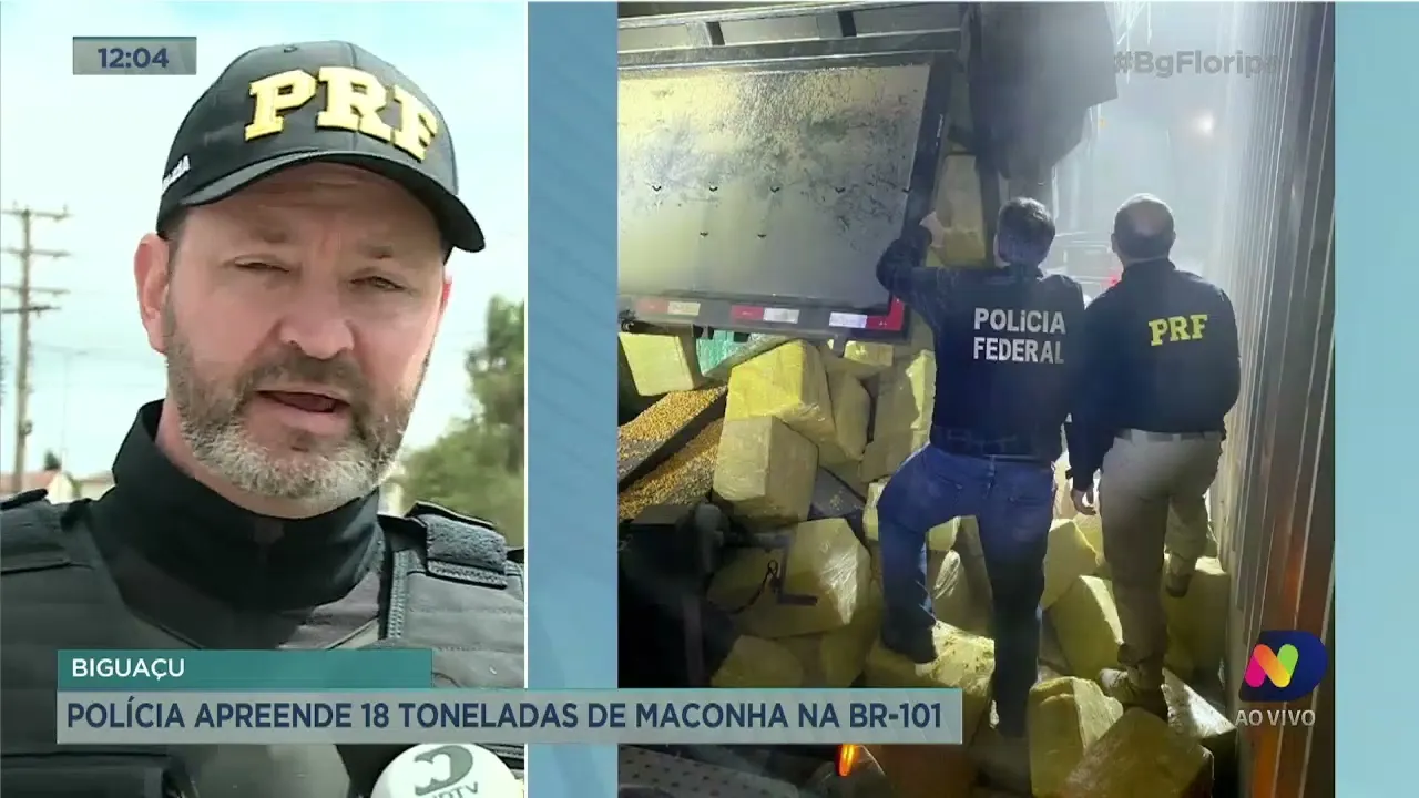 Biguaçu: polícia apreende 18 toneladas de maconha na BR-101