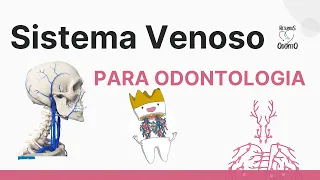 VEIAS DA CABEÇA E PESCOÇO | Resumos  de Odonto