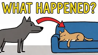 Did Humans Create Dogs by Accident?