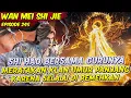 SHI HAO BERSAMA GURUNYA MERATAKAN KLAN UMUR PANJANG | PERFECT WORLD | EPS 245