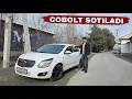Lagu Ko'bolt sotiladi +998332912222 #kobolt #koboltnarxlari #коболт #колболтнархлари #kobolstnarxlari2026