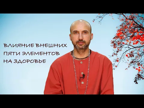 влияние внешних пяти элементов на здоровье image