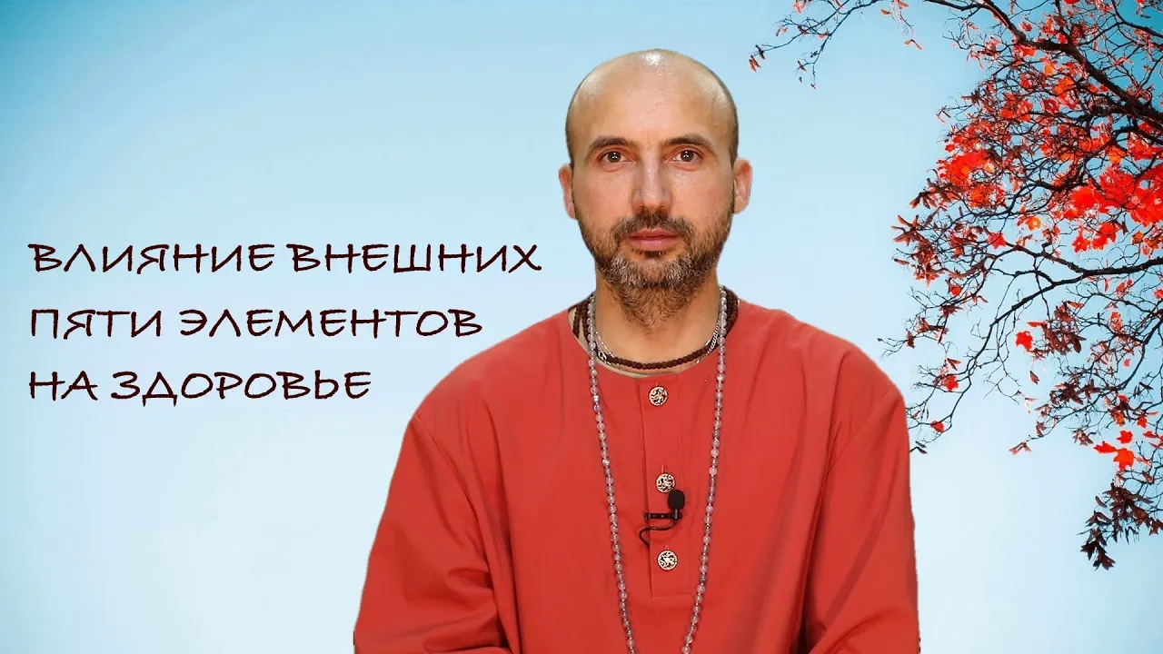 course влияние внешних пяти элементов на здоровье image