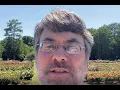 Times and Democrat s briefing for June 17 2021